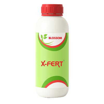 X-FERT Lamina-C